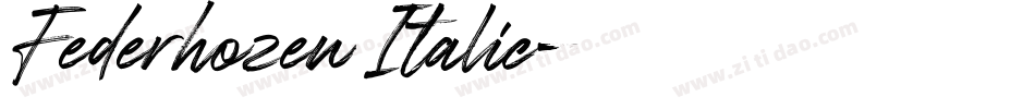 Federhozen Italic字体转换